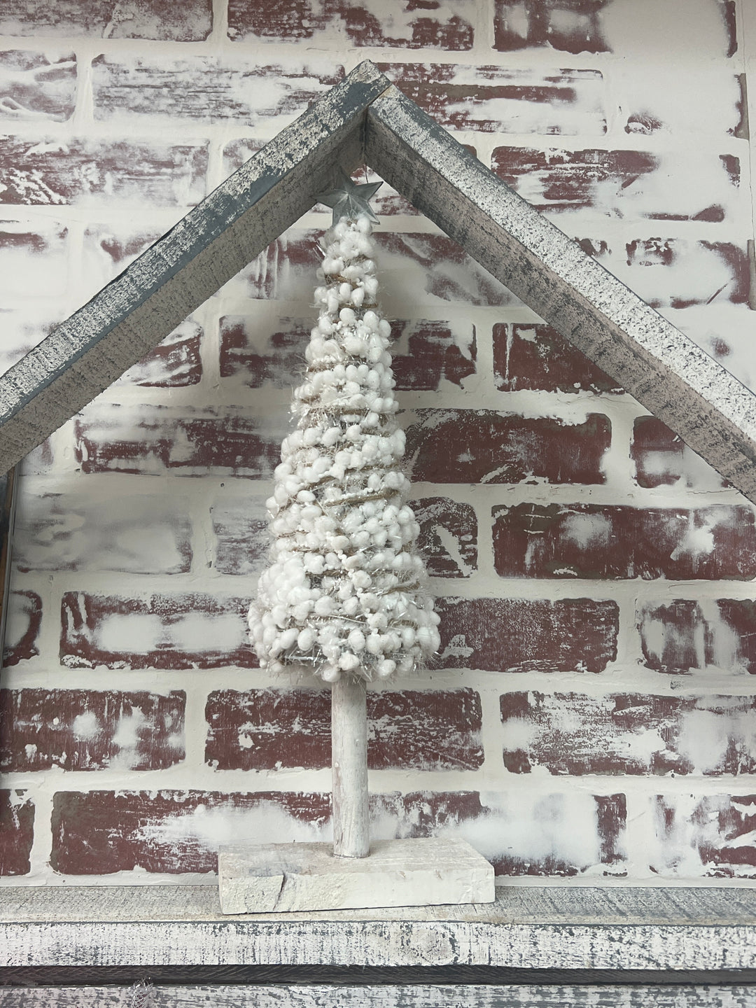 Cotton Tree 30 inch