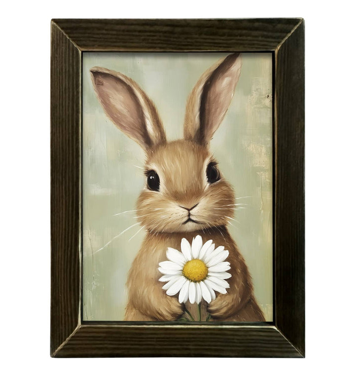 Daisy Bunny
