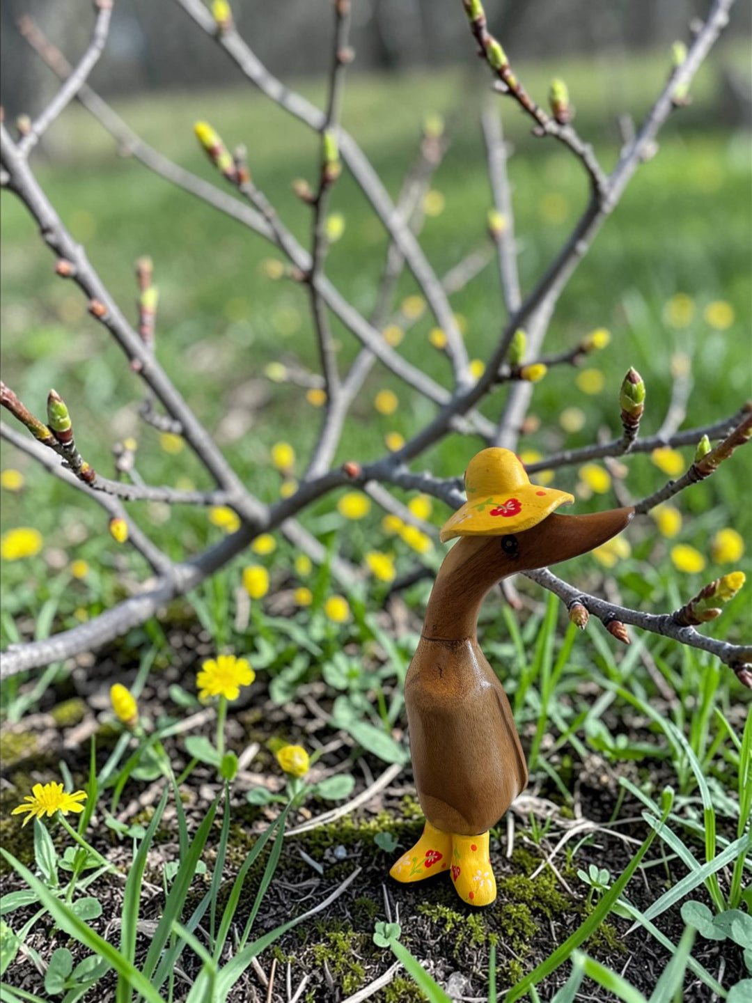 Flower Hat Bamboo Duckling 