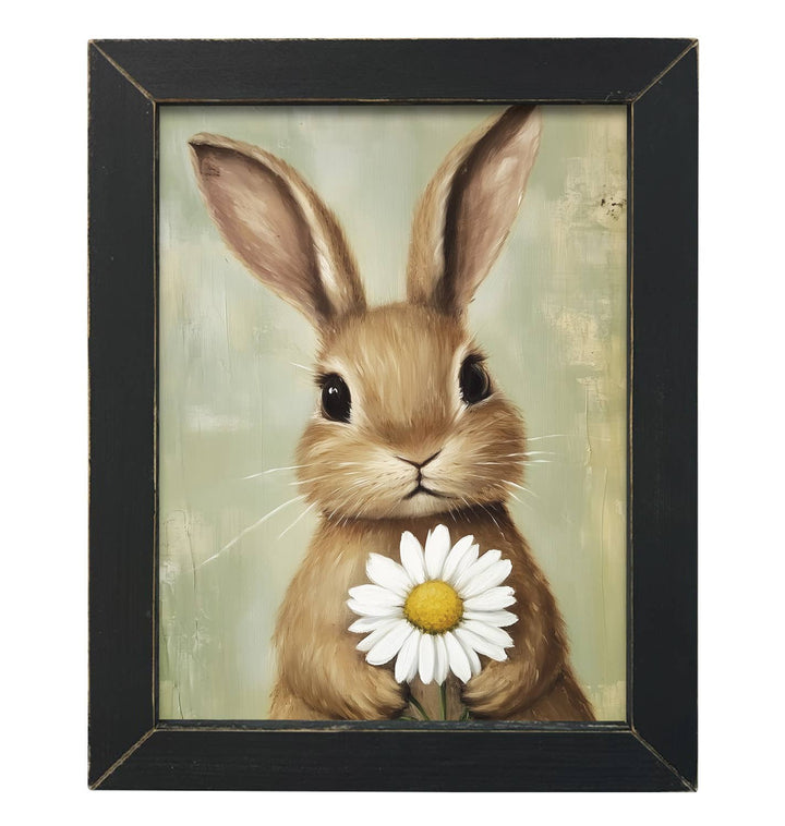 Daisy Bunny