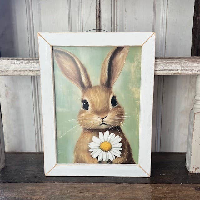 Daisy Bunny