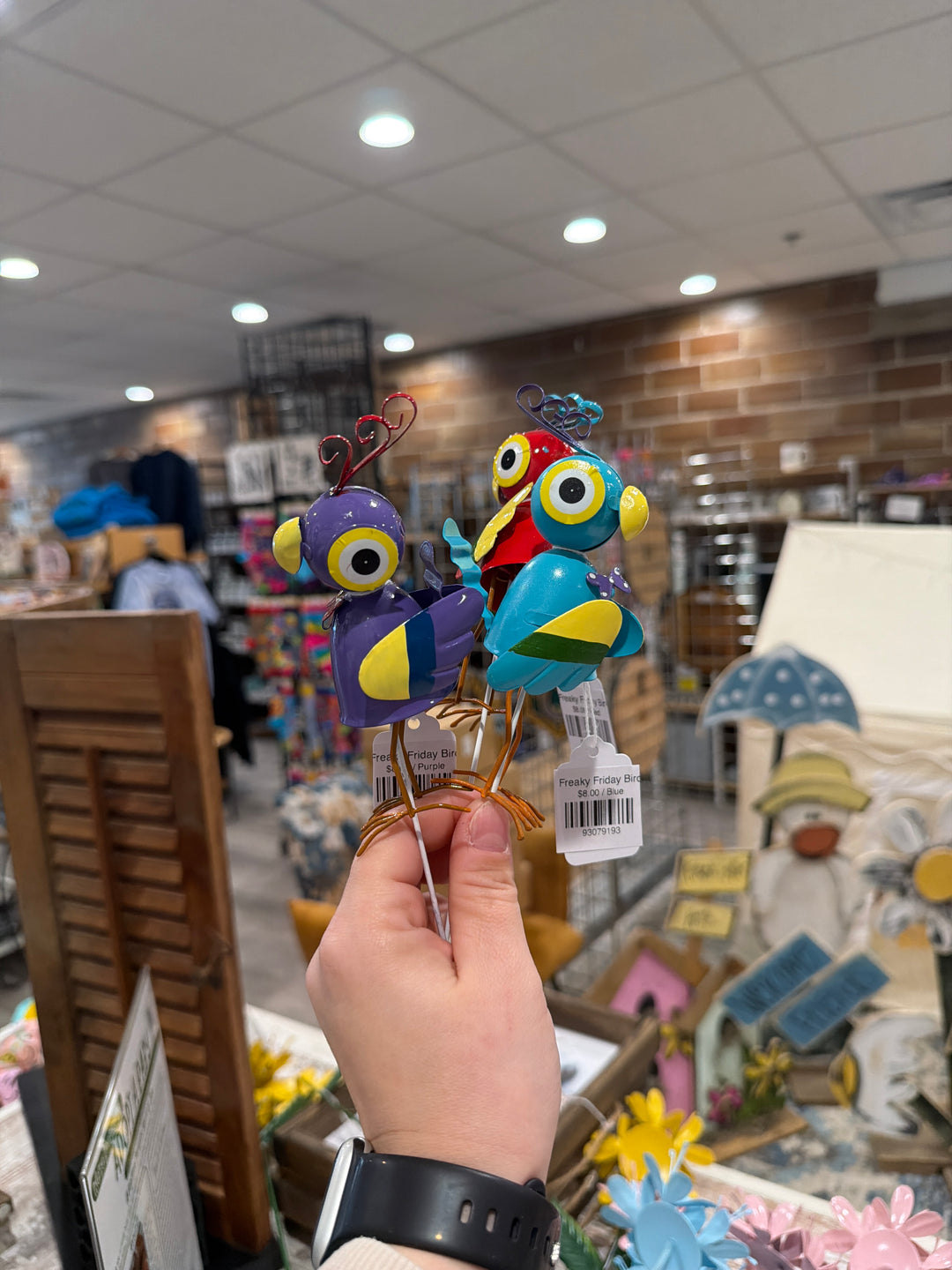 Freaky Friday Bird
