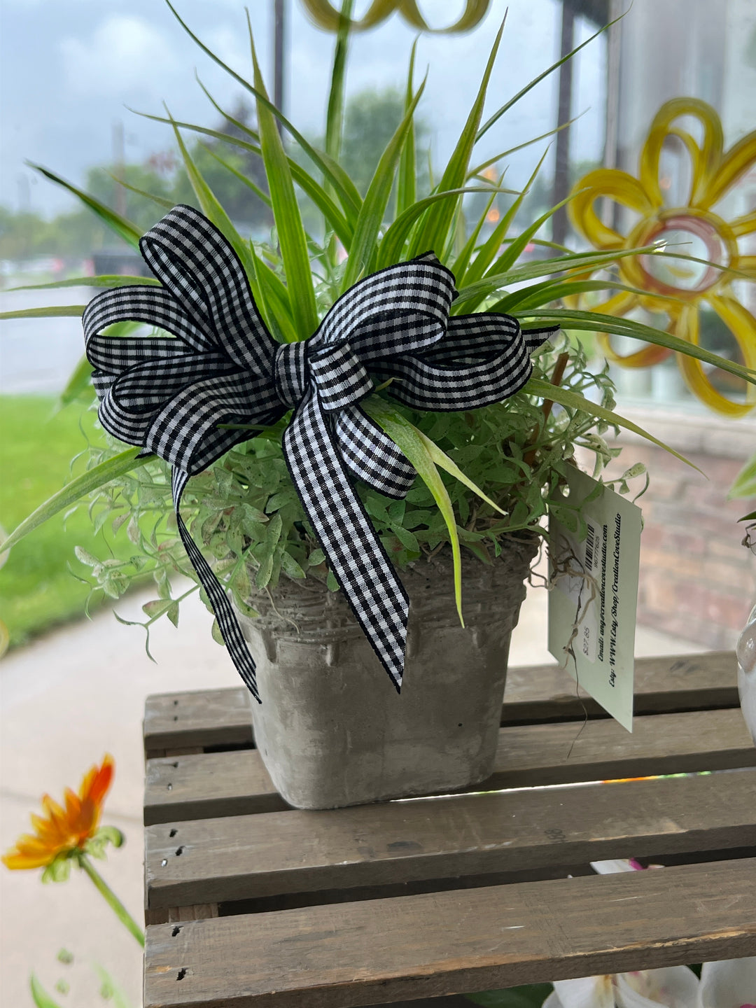 Grey Grass planter