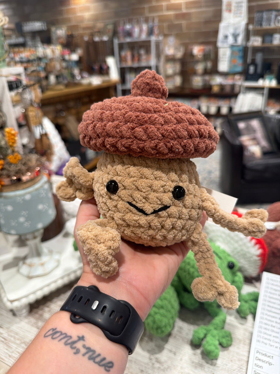 Acorn Guy