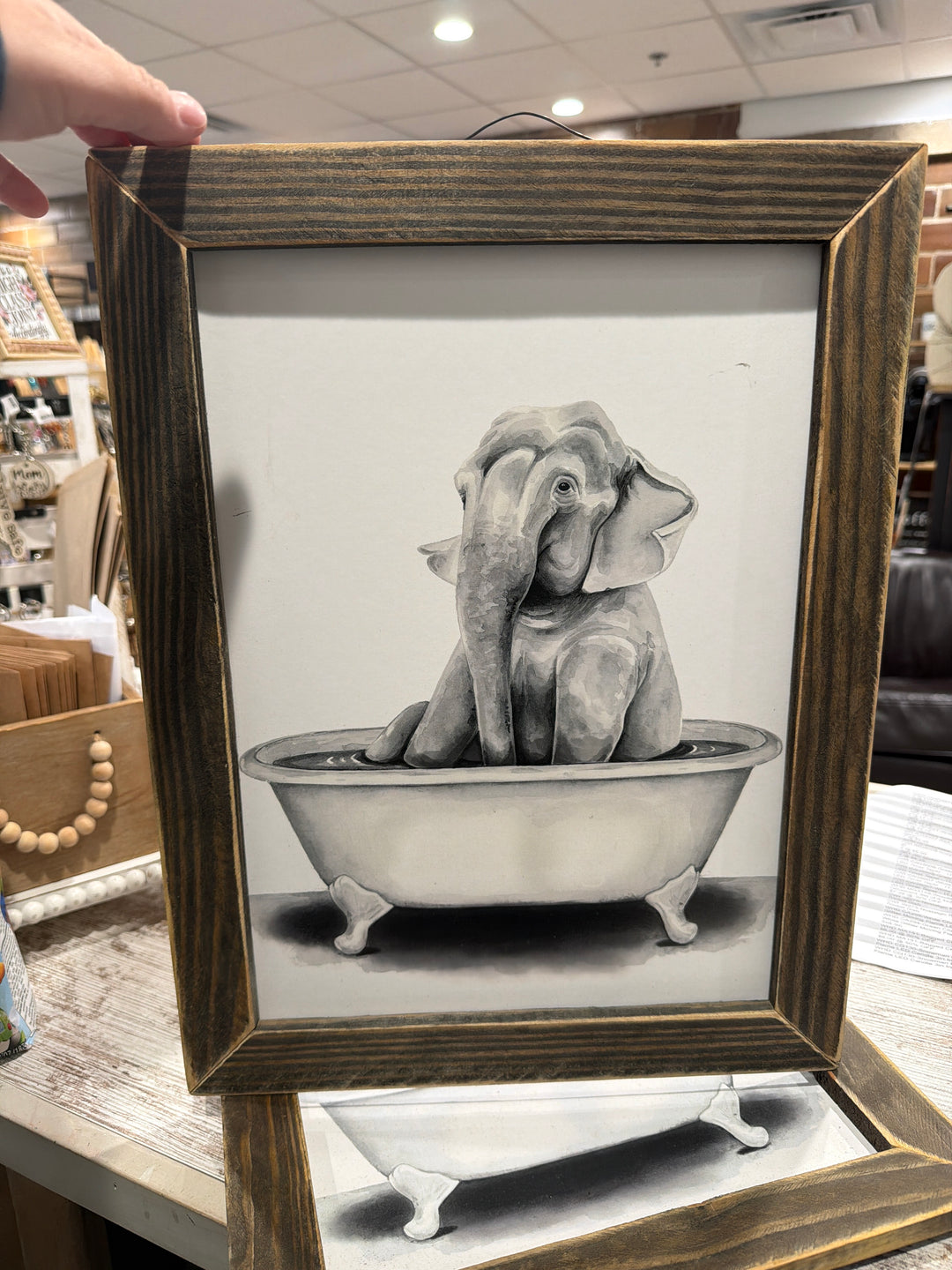 Elephant in Tub