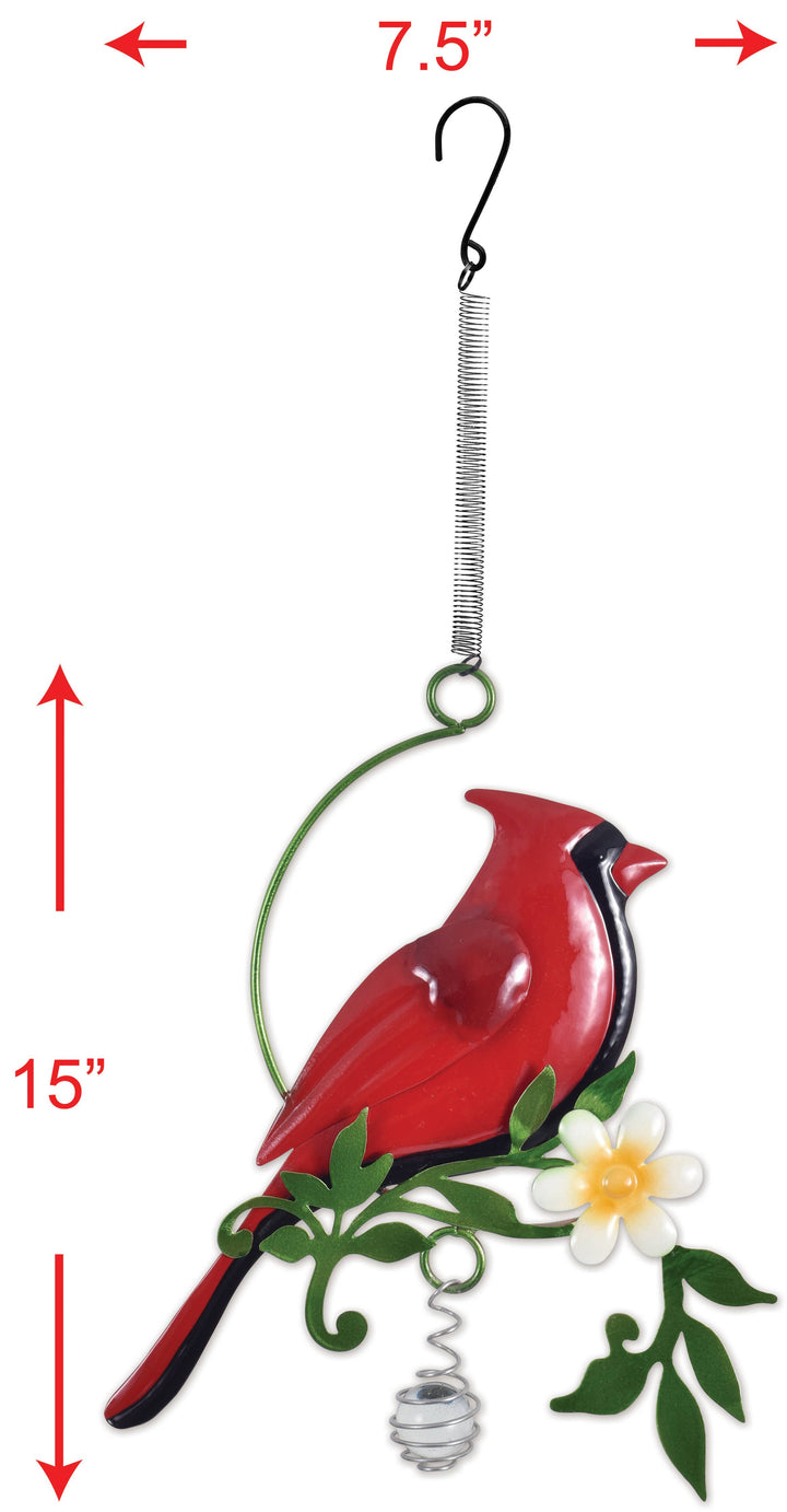 Cardinal Perch Bouncy