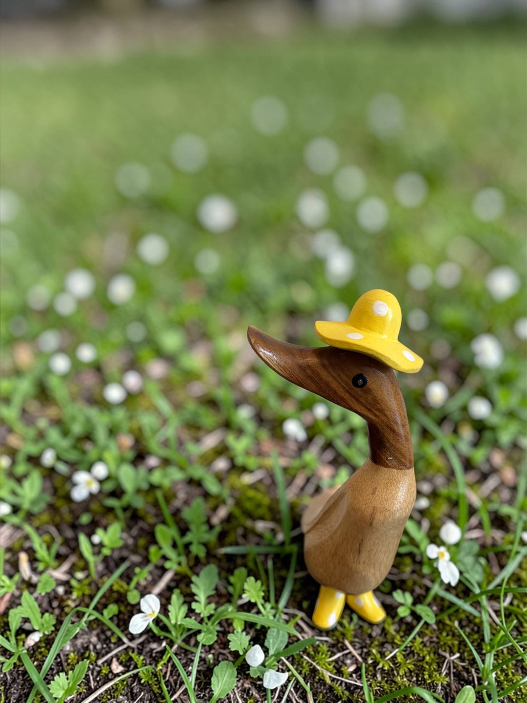 Polka Dot Hat Bamboo Duckling