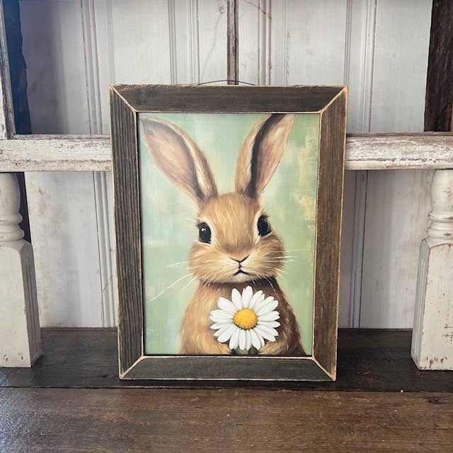 Daisy Bunny