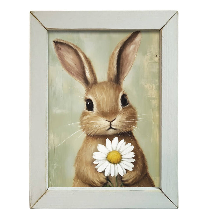 Daisy Bunny