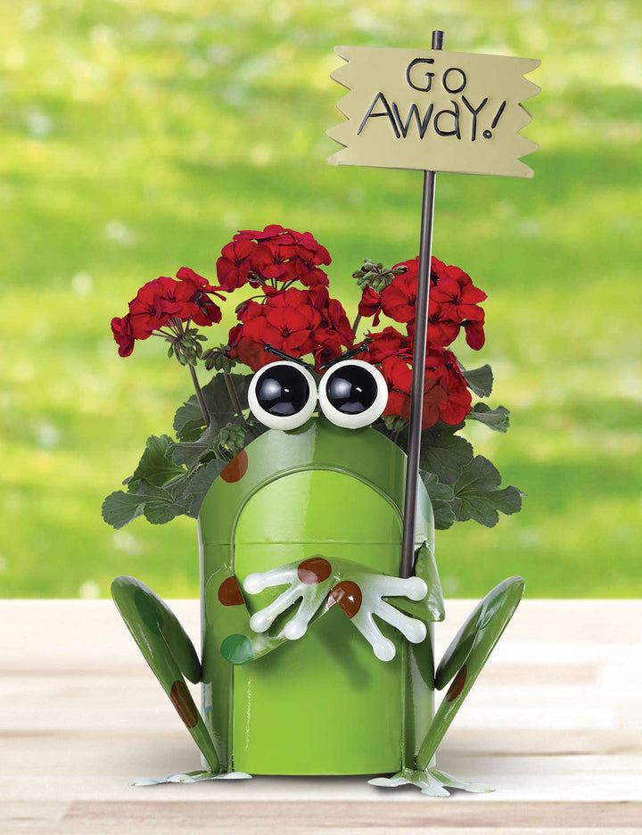 Get Happy Frog Planter
