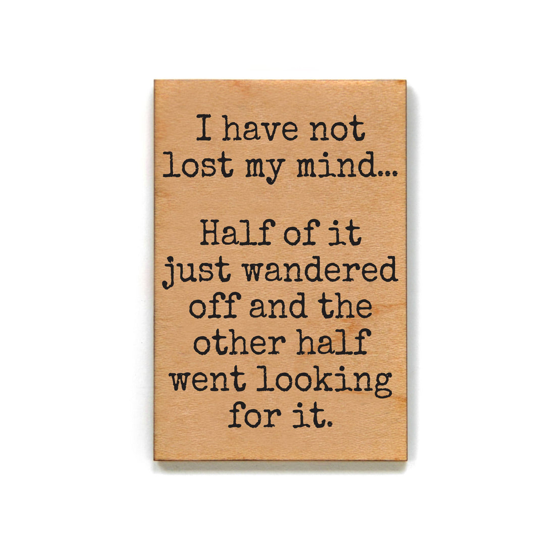 I Have Not Lost My Mind Funny Fridge Magnet